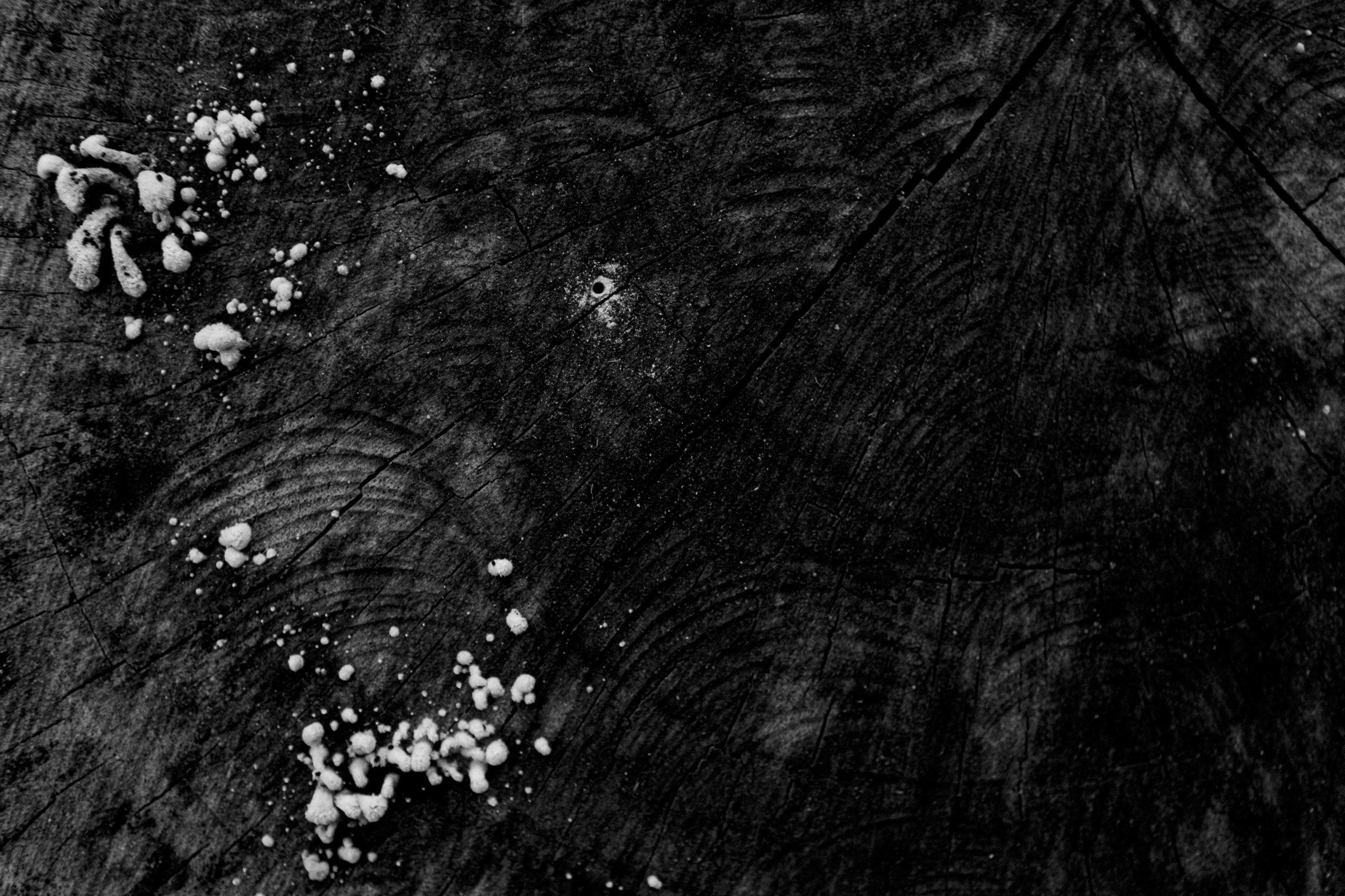 Dark wooden surface with white spots